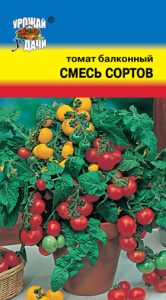 Томат Балконный смесь сортов  купить