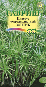 Циперус Зонтик очереднолистный  купить