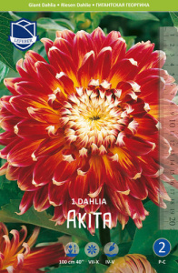 Георгина гигантская Akita /1шт купить