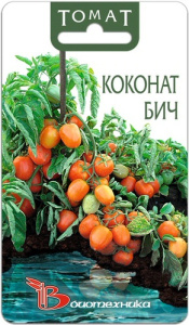 Томат Коконат Бич  купить