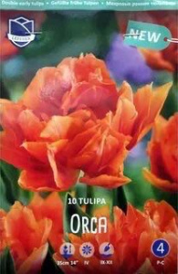 Тюльпан Орка /10шт купить