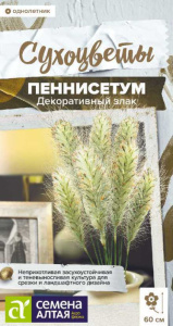 Пеннисетум мохнатый злак декоративный  Сухоцветы купить