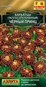 Бархатцы Черный принц отклоненные купить