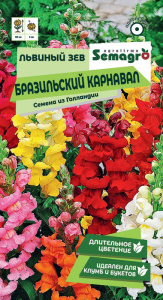 Львиный зев Бразильский карнавал купить