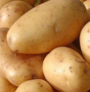 Картофель семенной Арроу (суперэлита) 2кг купить