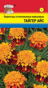 Бархатцы Тайгер Айс откл. купить