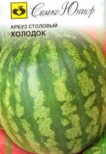 Арбуз Холодок  купить