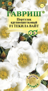 Портулак Текила Вайт  купить