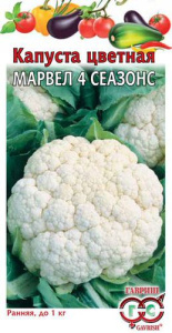 Капуста (цветная) Марвел 4 сеазонс  купить