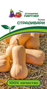 Тыква Страдивари купить