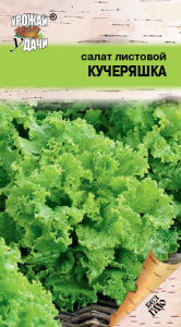 Салат КУЧЕРЯШКА купить