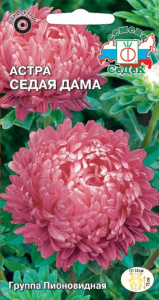 Астра Седая Дама малиново-розовая пионовидная  купить