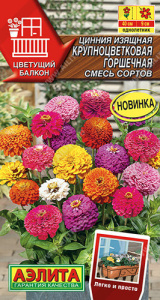 Цинния Крупноцветковая горшечная, смесь  купить