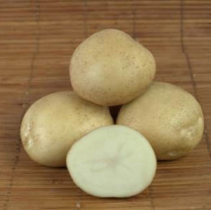 Картофель семенной Никулинский 1кг/20 купить