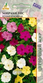 Мирабилис Ночная красавица  купить