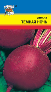 Свекла Темная Ночь  купить