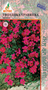 Гвоздика травянка Нелли купить