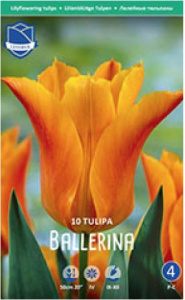 Тюльпан лилейный "Ballerina" (1х10шт) купить