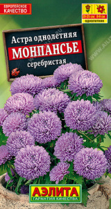 Астра Монпансье серебристая купить