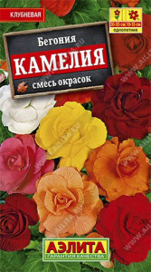 Бегония Камелия крупноцветковая,  смесь купить