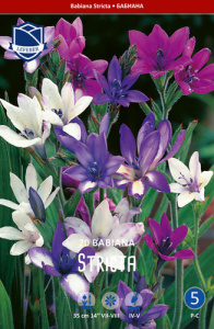 Бабиана смесь/Babiana stricta /20шт купить