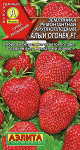 Земляника Алый огонек ремонтатная  купить