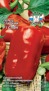 Перец Слон F1  купить