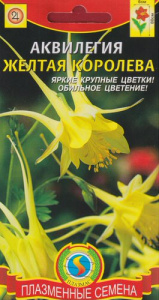 Аквилегия Жёлтая королева  купить