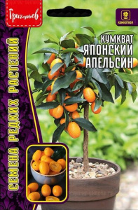 Кумкват Японский Апельсин (Кинкан) купить