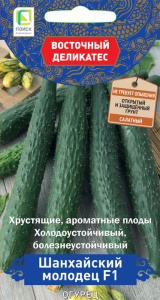 Огурец Шанхайский молодец F1 купить