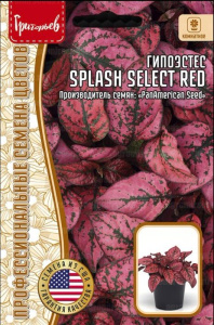 Гипоэстес Сплэш Селект Красный (Splash Select Red) купить