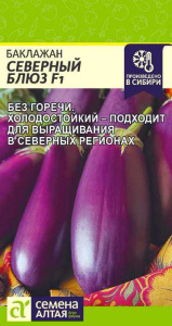Баклажан Северный блюз  купить