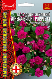 Бальзамин Афина F1 Ярко-Пурпурный (Athena Bright Purple)  амп. купить