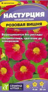 Настурция Розовая вишня низкорослая купить