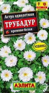 Астра Трубадур кремово-белая Satimex купить