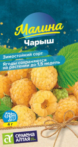 Малина Чарыш желтая купить