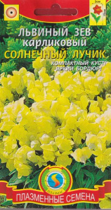 Львиный зев Солнечный лучик карликовый  купить