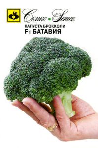 Капуста (брокколи) Батавия  F1 купить