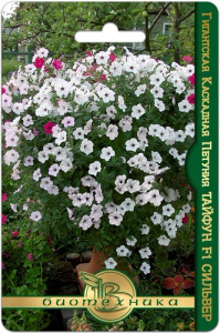 Петуния Тайфун F1 Сильвер гигантская каскадная  купить