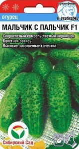Огурец Мальчик с пальчик  купить