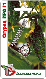 Огурец Ира F1 купить