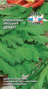 Хризантема Дебют (овощн.) купить