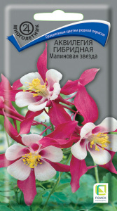 Аквилегия Малиновая звезда гибридная купить