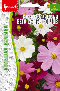 Космос Вега Смесь Сортов карликовый купить