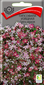 Гипсофила изящная Смесь окрасок купить