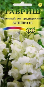 Львиный Зев Зугшпитте  купить