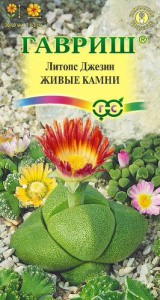 Литопс Живые Камни  купить