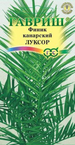 Финик канарский Луксор  купить