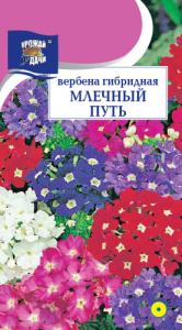 Вербена Млечный путь  купить