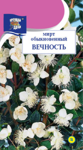 Мирт Вечность  купить